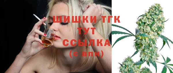 мдпв Няндома