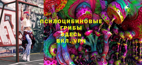 ПСИЛОЦИБИНОВЫЕ ГРИБЫ Нягань