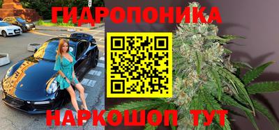 шишки Абакан
