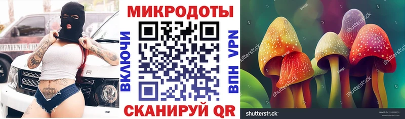 Галлюциногенные грибы ЛСД Апшеронск