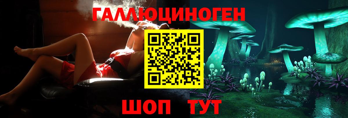 купить   Апшеронск  Псилоцибиновые грибы мицелий 